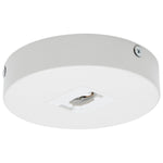 Nuvo Lighting-TP248|MAIN