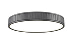 Z-Lite-1005F20-MB-LED|MAIN