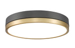Z-Lite-1006F16-MB-MGLD-LED|MAIN