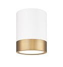 Algar Outdoor (Damp) Flush Mount Ceiling Light by Z-Lite