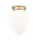 Gideon Outdoor (Damp) Flush Mount Light by Z-Lite