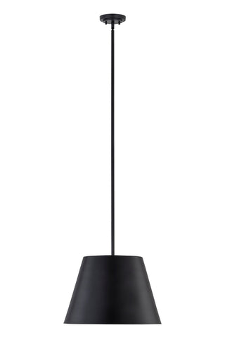 Buy matte-black-with-matte-black-glass-and-black-shade Lilly Pendant by Z-Lite