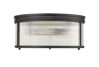 Buy matte-black-with-clear-ribbed-glass-and-clear-textured-shade Carnaby Outdoor (Damp) Flush Mount Ceiling Light by Z-Lite