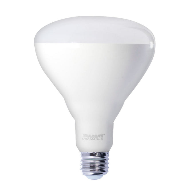 Bulbrite-772877|MAIN