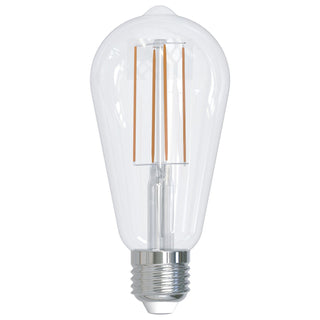 Light Bulb from the Filaments: Collection in Clear Finish by Bulbrite (on Backorder ~45951*)