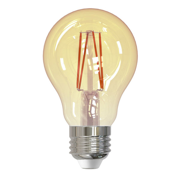 Light Bulb from the Filaments: Collection in Antique Finish by Bulbrite