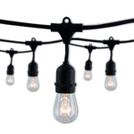 Bulbrite-812312|MAIN