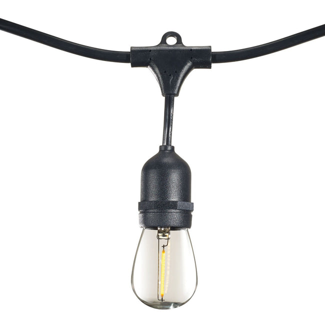 Bulbrite-812313|MAIN