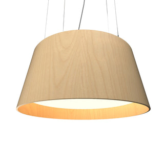 Buy maple Conical Outdoor (Damp) Pendant by Accord Lighting