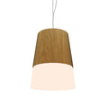 Conical Outdoor (Damp) Pendant by Accord Lighting