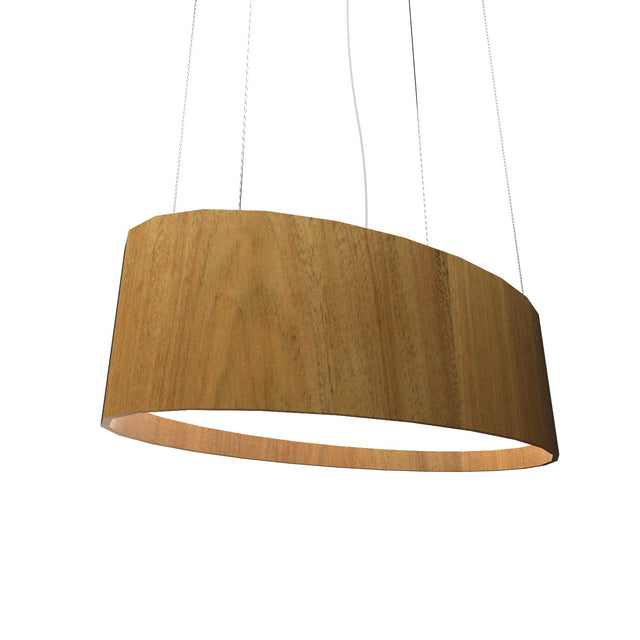 Oval Outdoor (Damp) Pendant by Accord Lighting