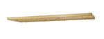 Z-Lite-CP5423L-MGLD|MAIN