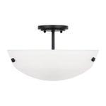 Generation Lighting-7715202-112|MAIN