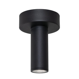 Beverly Outdoor (Wet) Ceiling Mount Light by AFX Lighting