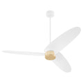 Brisa Outdoor (Damp) Ceiling Fan with Light by Quorum