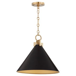 Buy matte-black-w-aged-brass Jackson Outdoor (Damp) Pendant by Quorum