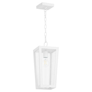 Bravo Outdoor (Damp) Pendant by Quorum