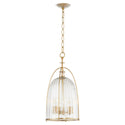 Alice Outdoor (Damp) Pendant by Quorum