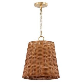 Buy aged-brass-with-espresso-glass-and-woven-natural-shade Robinson Outdoor (Damp) Pendant by Quorum