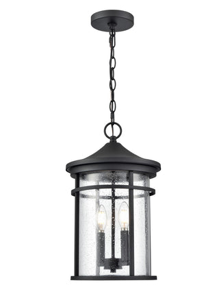 Namath Outdoor (Wet) Hanging Lantern by Millennium