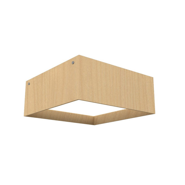 Squares Outdoor (Damp) Ceiling Mount Light by Accord Lighting