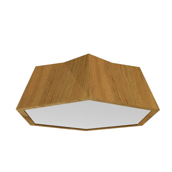 Physalis Outdoor (Damp) Ceiling Mount Light by Accord Lighting