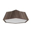 Physalis Outdoor (Damp) Ceiling Mount Light by Accord Lighting
