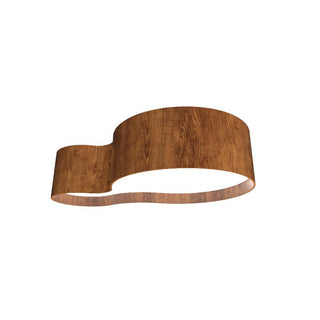 Buy imbuia Organic Outdoor (Damp) Ceiling Light by Accord Lighting