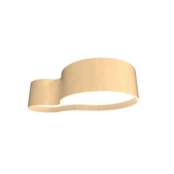 Organic Outdoor (Damp) Ceiling Mount Light by Accord Lighting