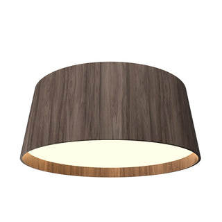 Buy american-walnut Conical Ceiling Mount by Accord Lighting