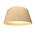Conical Outdoor (Damp) Ceiling Light by Accord Lighting