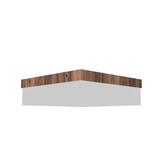 Buy american-walnut Clean Outdoor (Damp) Ceiling Mount Light by Accord Lighting