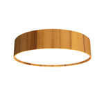Accord Lighting-546LED.12|MAIN