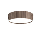 Accord Lighting-585LED.18|MAIN