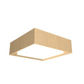 Squares Outdoor (Damp) Ceiling Light by Accord Lighting