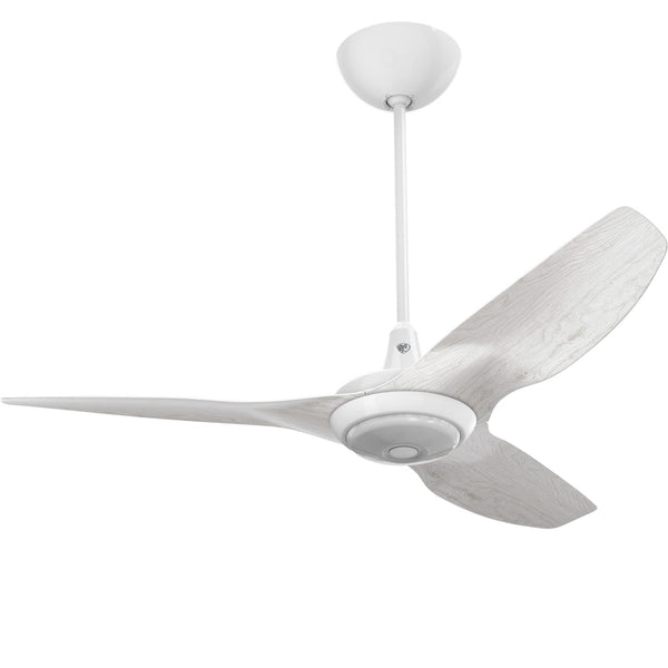 Haiku Ceiling Fan with Light by Big Ass Fans