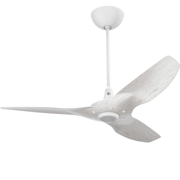 Haiku Ceiling Fan with Light by Big Ass Fans