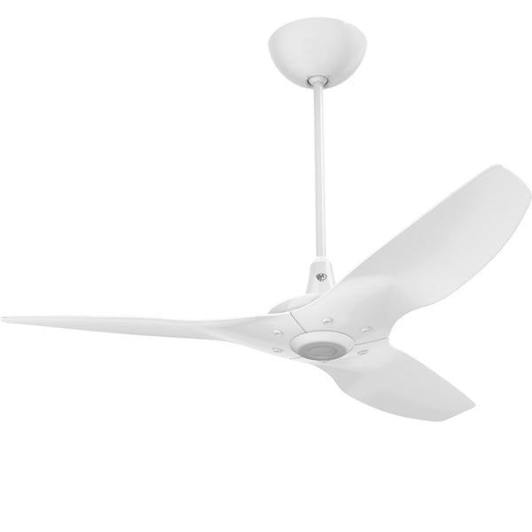 Haiku Ceiling Fan by Big Ass Fans