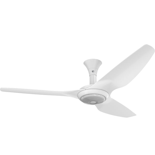 Haiku Ceiling Fan by Big Ass Fans