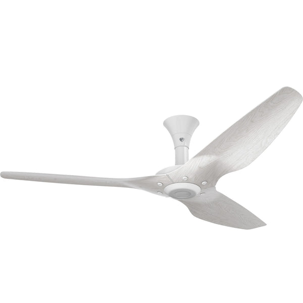 Haiku Ceiling Fan by Big Ass Fans