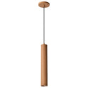 Century Outdoor (Damp) Pendant by Nuvo Lighting