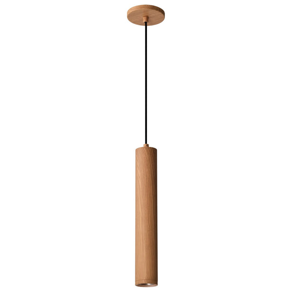 Century Outdoor (Damp) Pendant by Nuvo Lighting