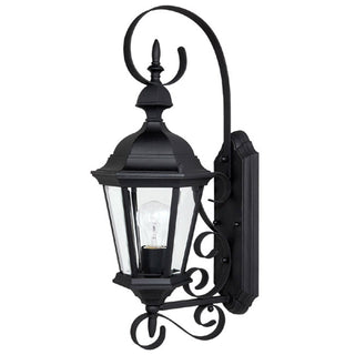Carriage House Lantern by Capital Lighting
