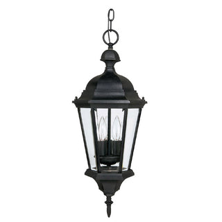 Carriage House Hanging Lantern by Capital Lighting