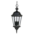 Carriage House Lantern by Capital Lighting
