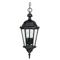 Carriage House Lantern by Capital Lighting