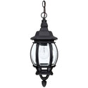 French Country Lantern by Capital Lighting