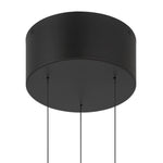 George Kovacs-P1950-66A-L|ALT|2