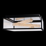 Allegri-095542-052-FR001|MAIN