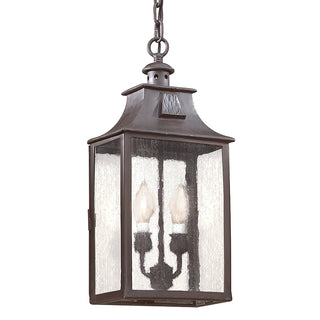 Newton Outdoor (Damp) Hanging Lantern by Troy Lighting
